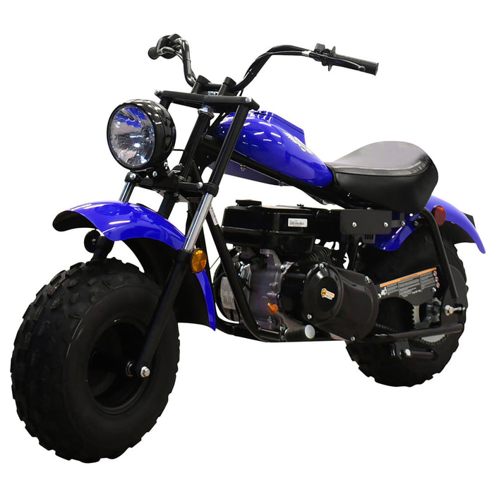 Mini Bike 200